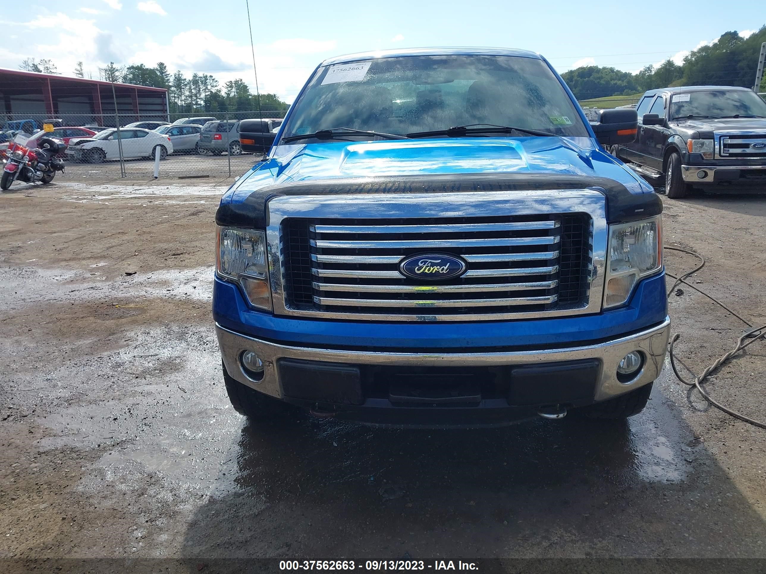 Photo 11 VIN: 1FTFW1EF0BFC38152 - FORD F-150 