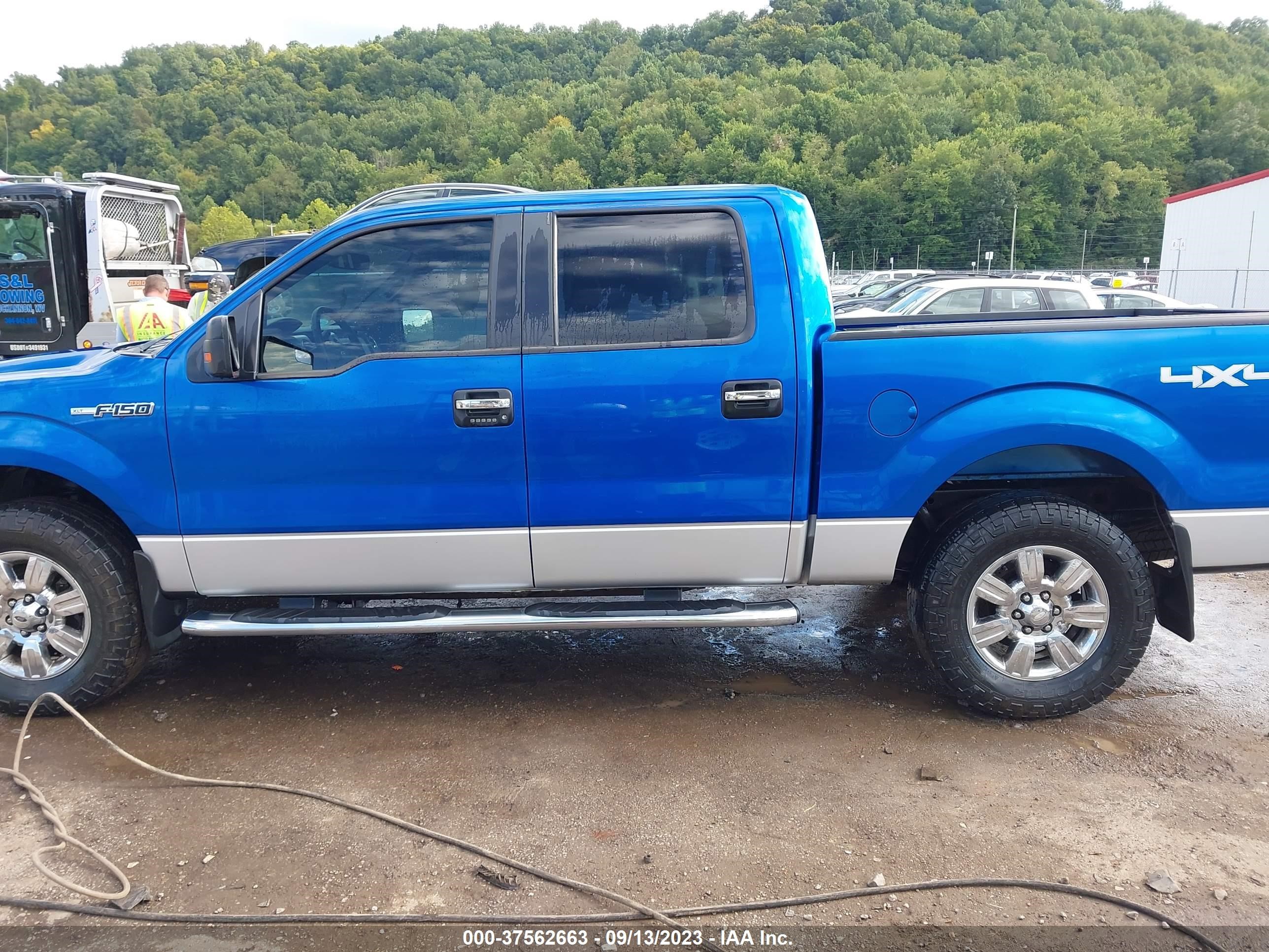 Photo 13 VIN: 1FTFW1EF0BFC38152 - FORD F-150 