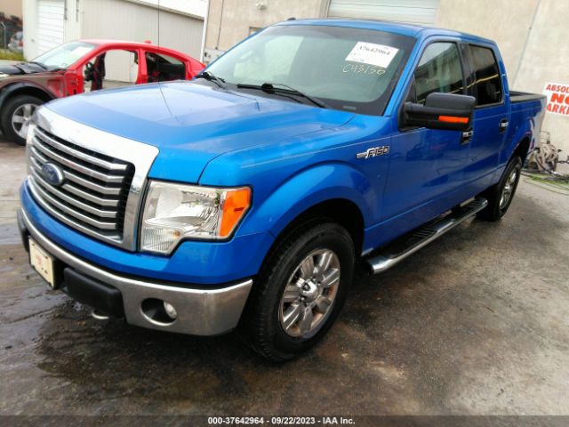 Photo 1 VIN: 1FTFW1EF0BFC43156 - FORD F-150 