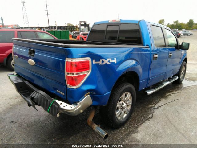 Photo 3 VIN: 1FTFW1EF0BFC43156 - FORD F-150 