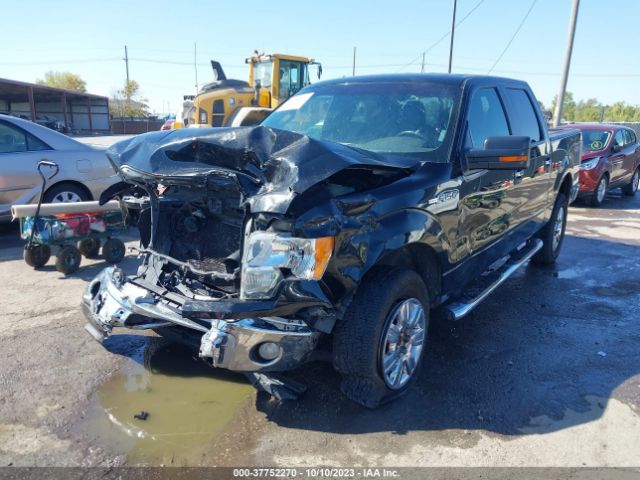 Photo 1 VIN: 1FTFW1EF0BFD07552 - FORD F-150 