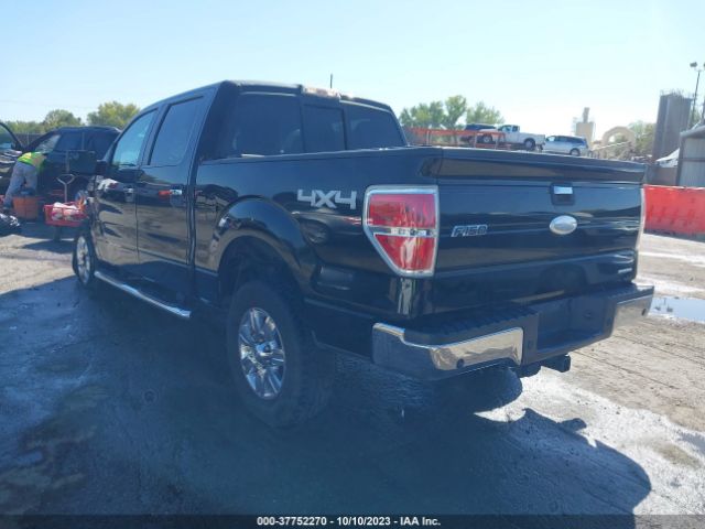 Photo 2 VIN: 1FTFW1EF0BFD07552 - FORD F-150 