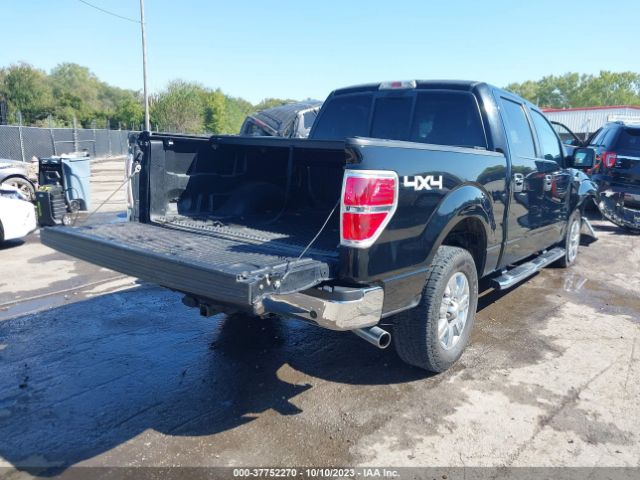 Photo 3 VIN: 1FTFW1EF0BFD07552 - FORD F-150 