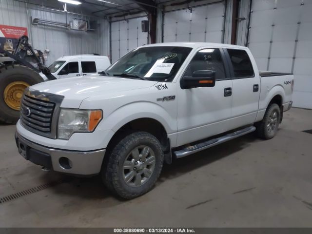 Photo 1 VIN: 1FTFW1EF0BKE02054 - FORD F-150 