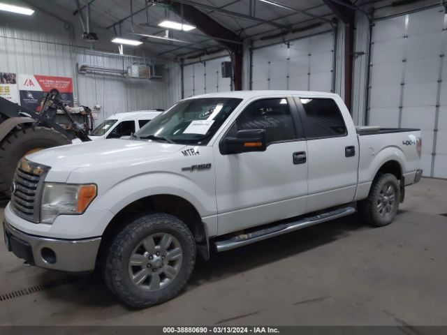 Photo 5 VIN: 1FTFW1EF0BKE02054 - FORD F-150 