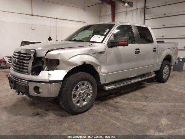 Photo 1 VIN: 1FTFW1EF0CFA36896 - FORD F-150 