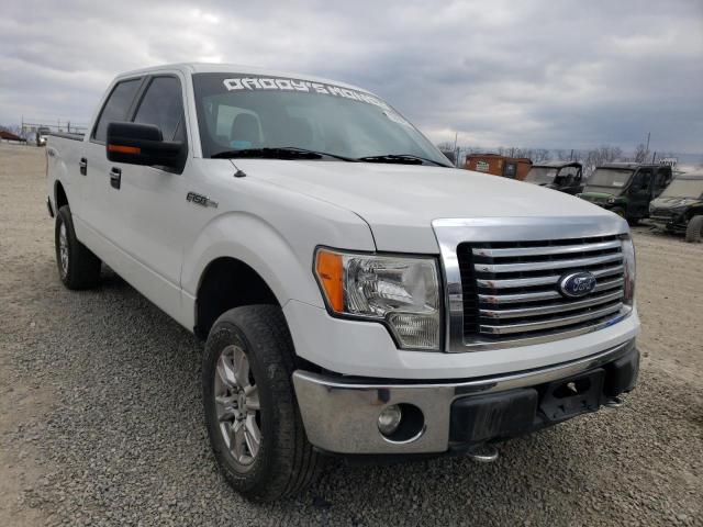 Photo 3 VIN: 1FTFW1EF0CFC66891 - FORD F150 SUPER 