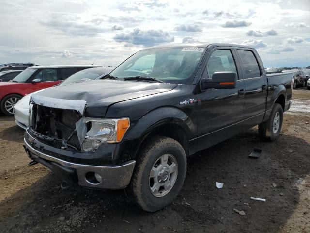 Photo 0 VIN: 1FTFW1EF0DFA20327 - FORD F150 SUPER 