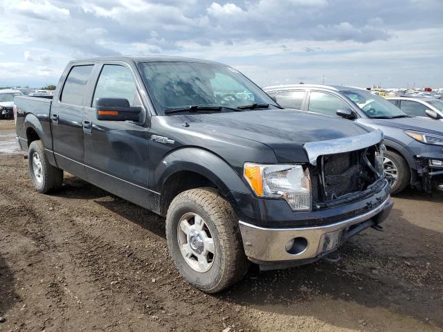 Photo 3 VIN: 1FTFW1EF0DFA20327 - FORD F150 SUPER 