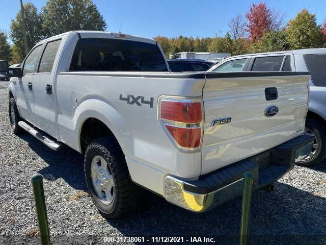 Photo 2 VIN: 1FTFW1EF0DFC51082 - FORD F-150 