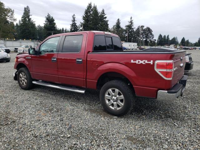 Photo 1 VIN: 1FTFW1EF0DFE08089 - FORD F-150 