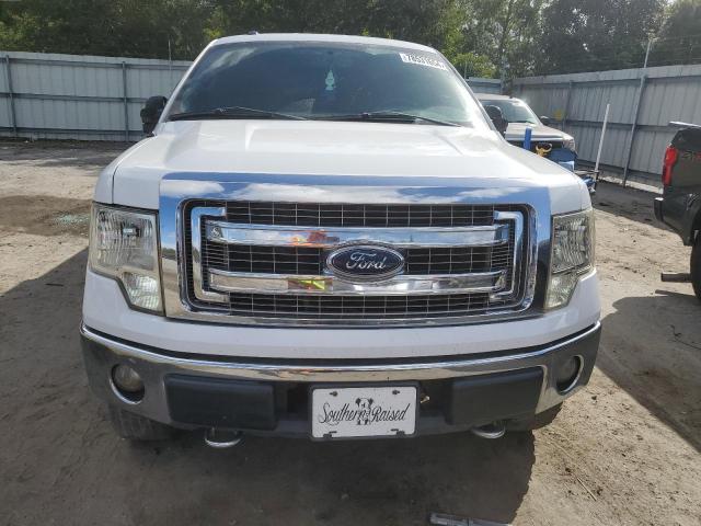 Photo 4 VIN: 1FTFW1EF0DKD13524 - FORD F150 SUPER 