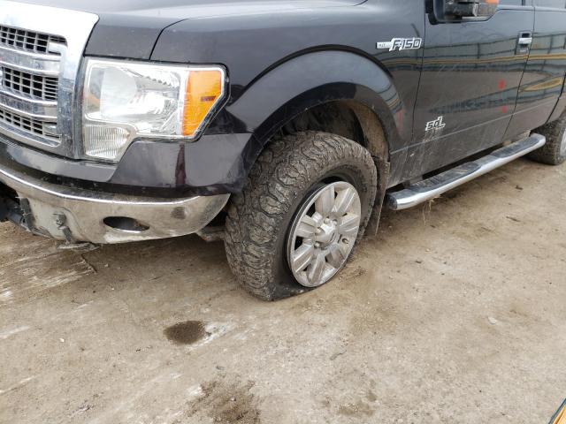 Photo 8 VIN: 1FTFW1EF0DKD53893 - FORD F-150 