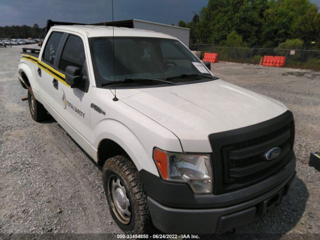 Photo 0 VIN: 1FTFW1EF0DKF42981 - FORD F-150 