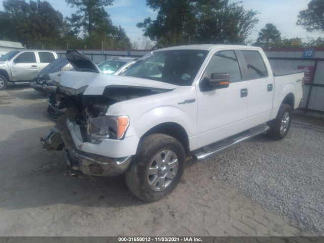 Photo 1 VIN: 1FTFW1EF0DKG18246 - FORD F-150 