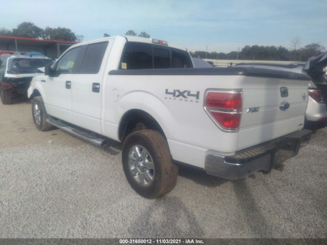 Photo 2 VIN: 1FTFW1EF0DKG18246 - FORD F-150 