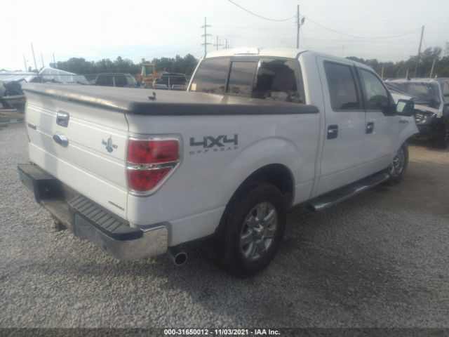 Photo 3 VIN: 1FTFW1EF0DKG18246 - FORD F-150 