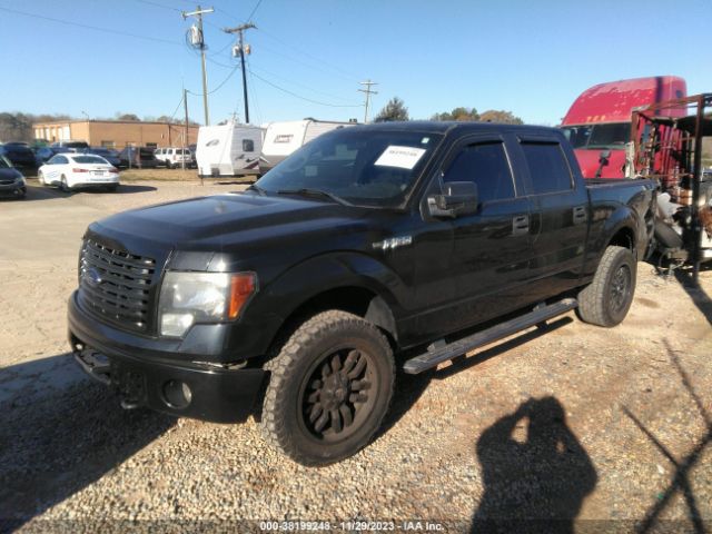 Photo 1 VIN: 1FTFW1EF0EFC24983 - FORD F-150 