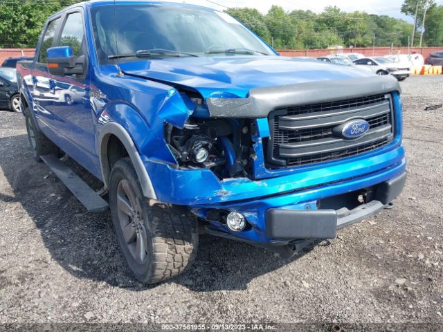 Photo 5 VIN: 1FTFW1EF0EFC66120 - FORD F-150 