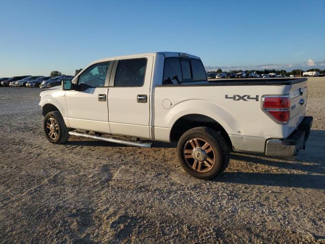 Photo 1 VIN: 1FTFW1EF0EFC86691 - FORD F-150 