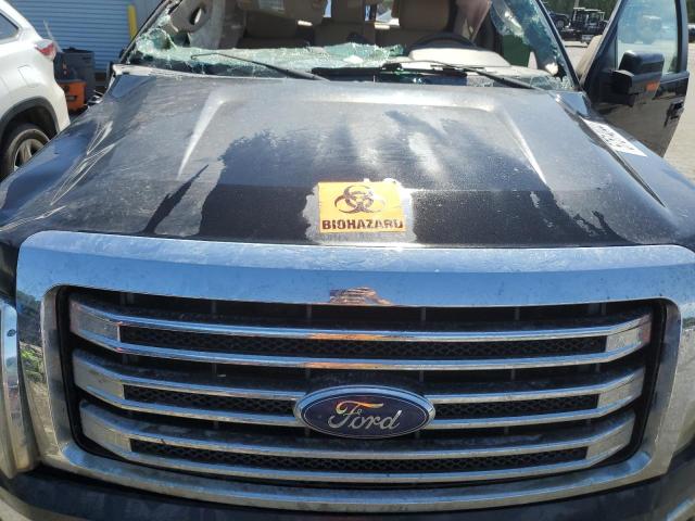 Photo 10 VIN: 1FTFW1EF0EKD13542 - FORD F-150 