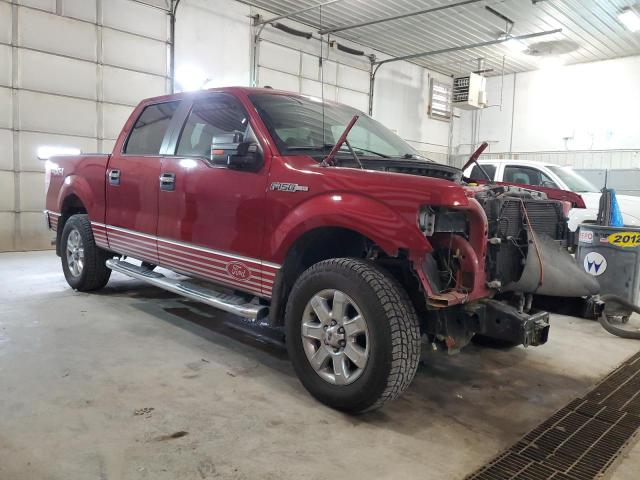 Photo 3 VIN: 1FTFW1EF0EKE38525 - FORD F150 SUPER 