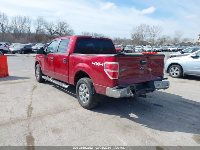 Photo 2 VIN: 1FTFW1EF0EKF38544 - FORD F-150 