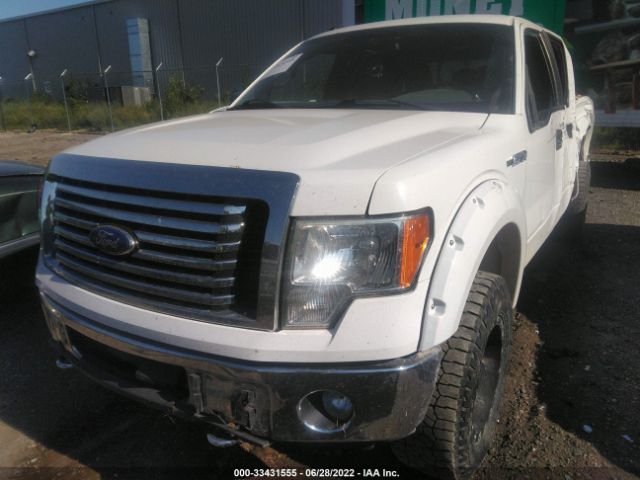 Photo 1 VIN: 1FTFW1EF1BFB41591 - FORD F-150 