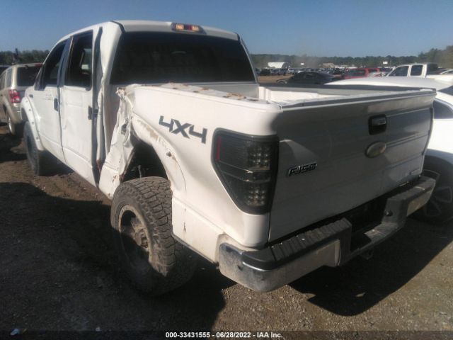 Photo 2 VIN: 1FTFW1EF1BFB41591 - FORD F-150 