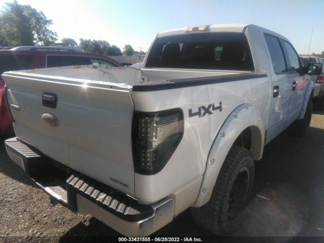 Photo 3 VIN: 1FTFW1EF1BFB41591 - FORD F-150 