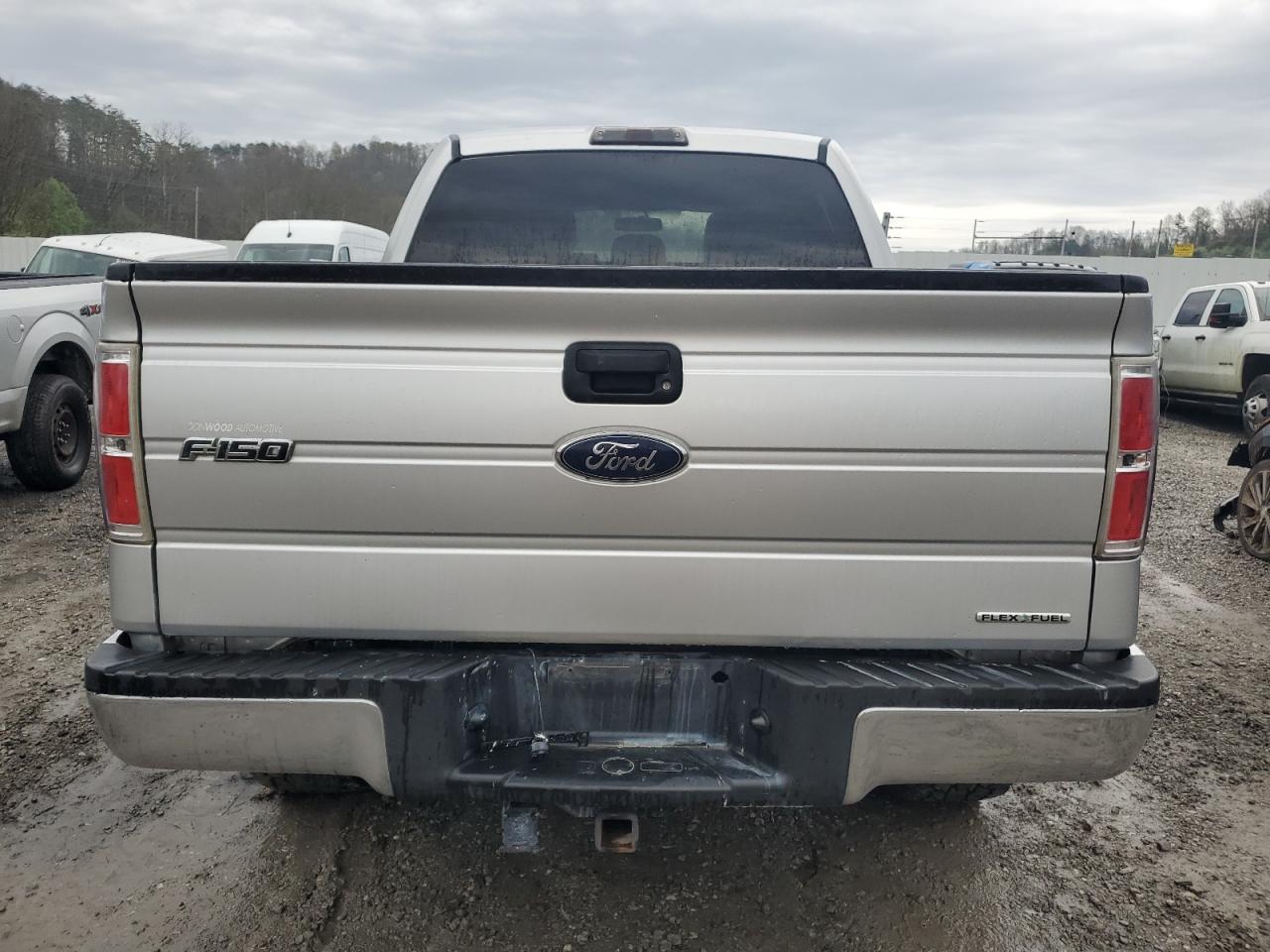 Photo 5 VIN: 1FTFW1EF1DFA20918 - FORD F-150 