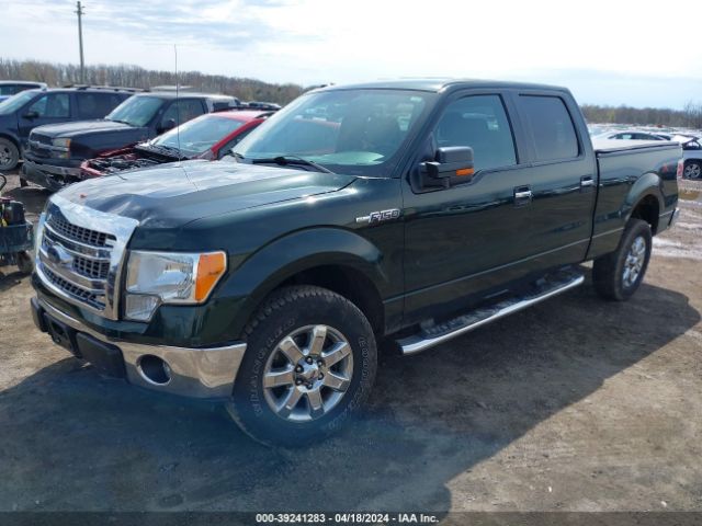 Photo 1 VIN: 1FTFW1EF1DFB93936 - FORD F-150 