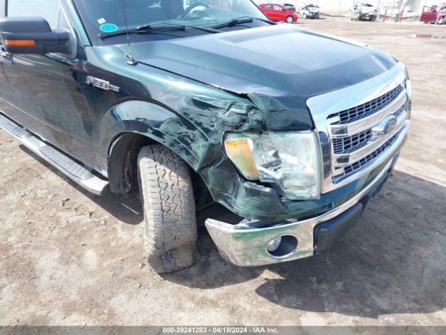 Photo 5 VIN: 1FTFW1EF1DFB93936 - FORD F-150 