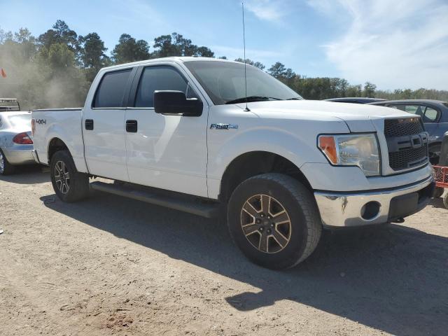 Photo 3 VIN: 1FTFW1EF1DFC14753 - FORD F150 SUPER 