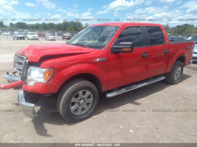 Photo 1 VIN: 1FTFW1EF1DFC26515 - FORD F-150 