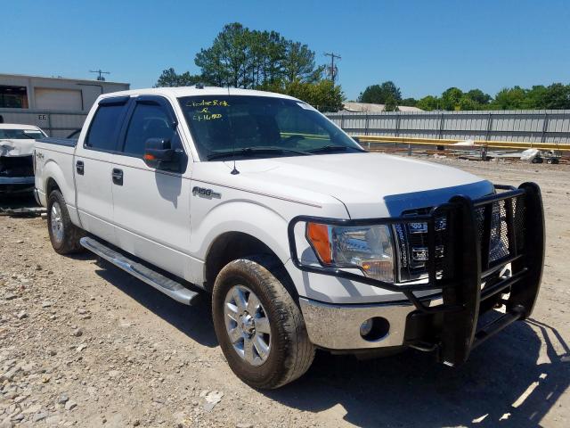 Photo 0 VIN: 1FTFW1EF1DKD38383 - FORD F150 SUPER 