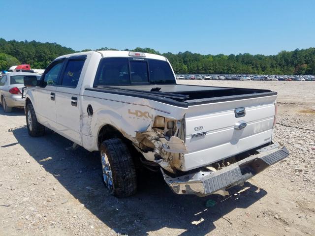 Photo 2 VIN: 1FTFW1EF1DKD38383 - FORD F150 SUPER 