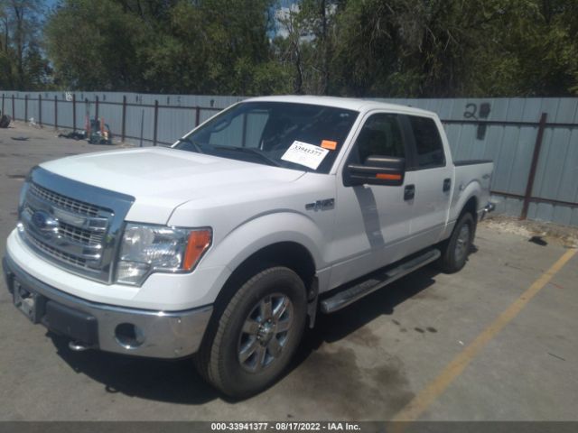 Photo 1 VIN: 1FTFW1EF1DKE11543 - FORD F-150 