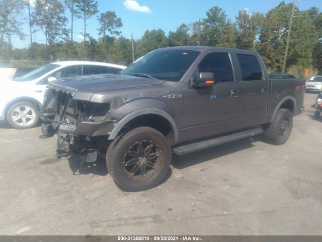 Photo 1 VIN: 1FTFW1EF1DKE21005 - FORD F-150 