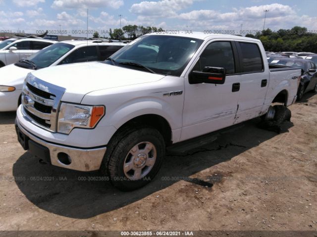 Photo 1 VIN: 1FTFW1EF1DKE72505 - FORD F-150 