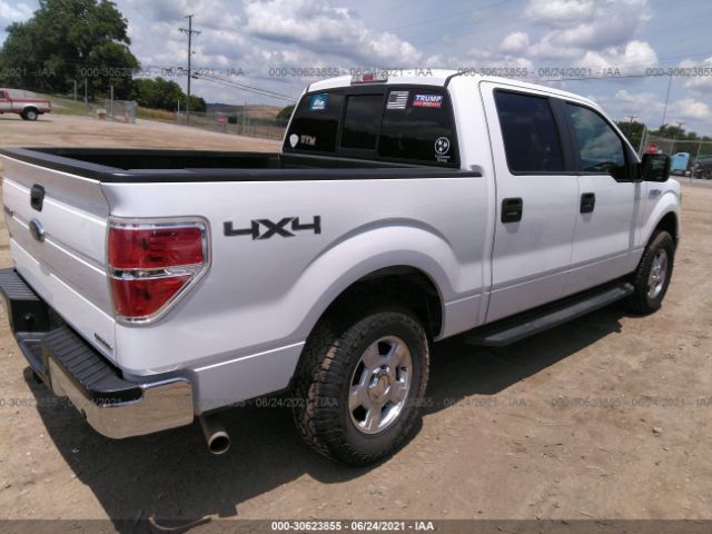 Photo 3 VIN: 1FTFW1EF1DKE72505 - FORD F-150 