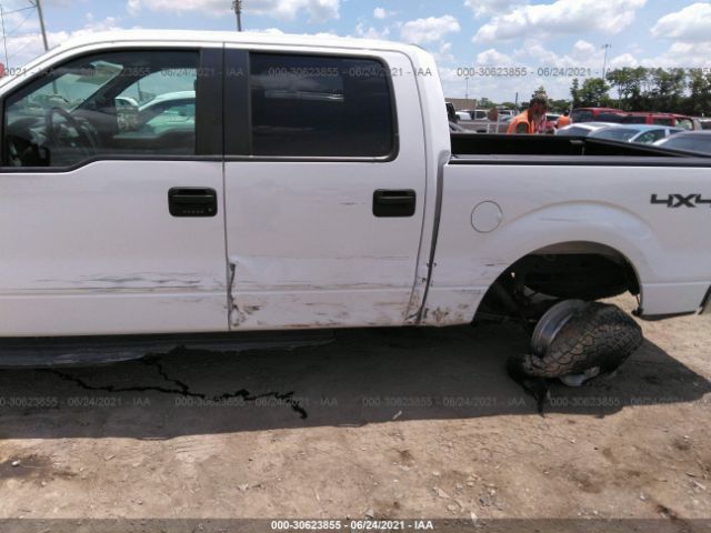 Photo 5 VIN: 1FTFW1EF1DKE72505 - FORD F-150 