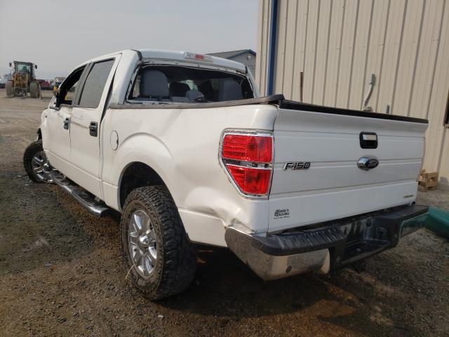 Photo 2 VIN: 1FTFW1EF1EFB21653 - FORD F150 SUPER 