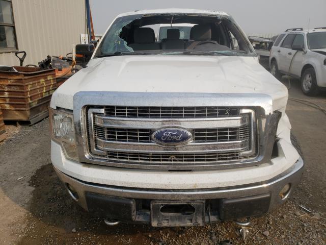 Photo 8 VIN: 1FTFW1EF1EFB21653 - FORD F150 SUPER 