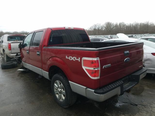 Photo 2 VIN: 1FTFW1EF1EFB94117 - FORD F150 SUPER 