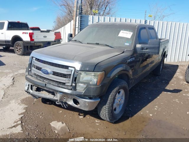 Photo 1 VIN: 1FTFW1EF1EFC18982 - FORD F-150 