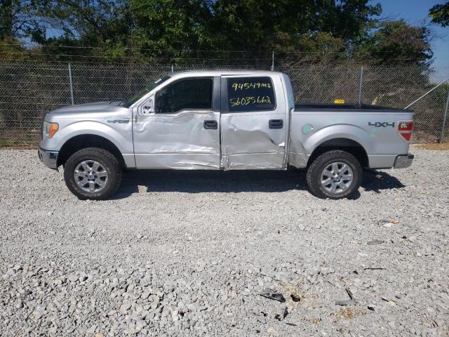 Photo 8 VIN: 1FTFW1EF1EKD16272 - FORD F150 SUPER 