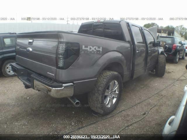 Photo 4 VIN: 1FTFW1EF1EKD89366 - FORD F-150 