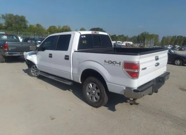 Photo 2 VIN: 1FTFW1EF1EKE11835 - FORD F-150 