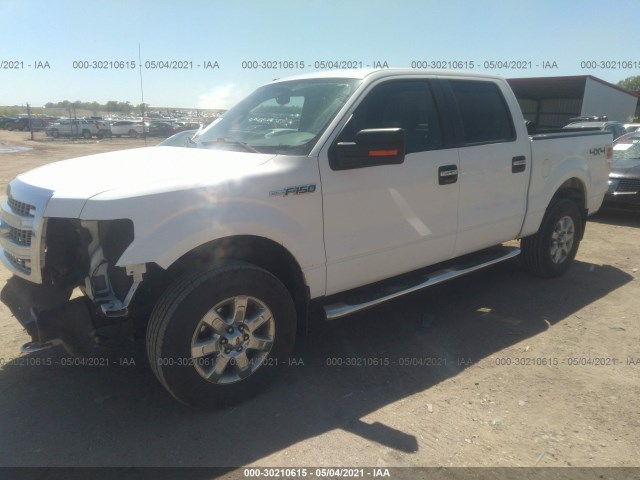 Photo 1 VIN: 1FTFW1EF1EKE82789 - FORD F-150 